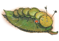 Caterpillar Caterpillar